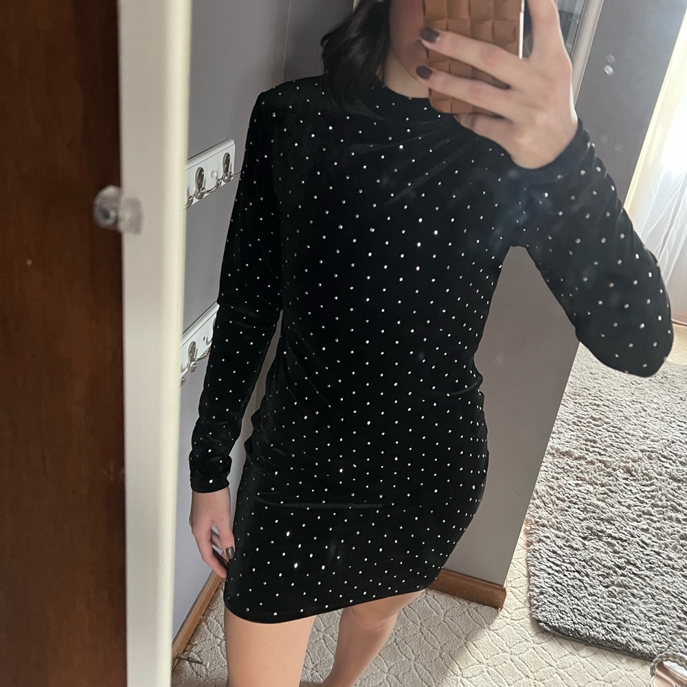 NWT velvet stud dress